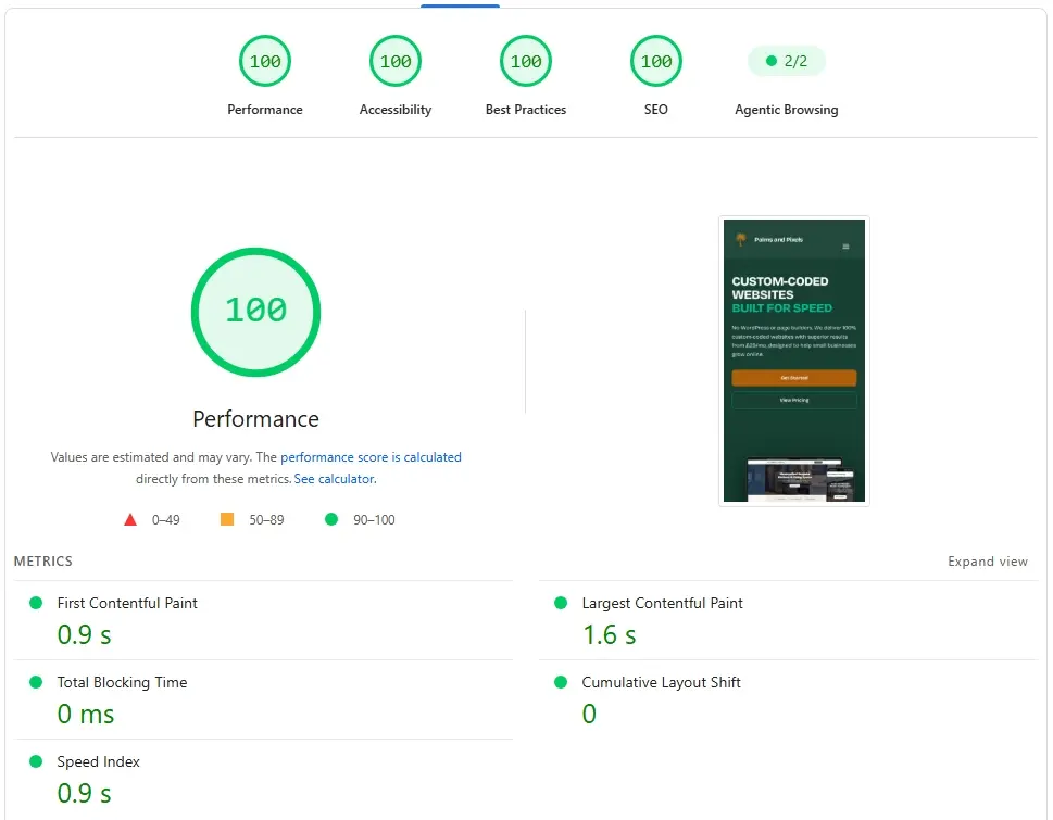 Google PageSpeed Mobile Audit Result showing 100 score and 2/2 Agentic Browsing pass